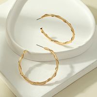 Exaggerated Large Circle Geometric Twisted Alloy Hoop Earrings sku image 3