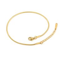 Simple Fashion Anklet Stainless Steel Anklet Gold-plated Anklet main image 6