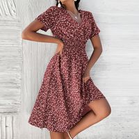 Vestido Floral De Hoja Roja Vino Con Cuello En V Y Falda Estampada Para Mujer Nueva De Verano main image 9
