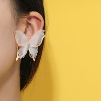 Korean Version Of Hollow Double Layer Butterfly Stud Earrings main image 1