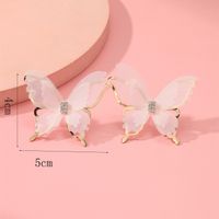 Korean Version Of Hollow Double Layer Butterfly Stud Earrings main image 4