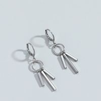 Simple Solid Color Geometric Pillar Tassel Alloy Ear Buckles Earrings Wholesale main image 5