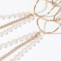 Fashion Long Flow Pearl Tassel Claw Diamond Alloy Earrings main image 5