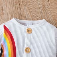 Frühlings- Und Herbst-baby-niedlicher Regenbogen-langarm-einteiler-strampler main image 4