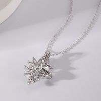 2022 Fashion Copper Gold-plated Hollow Flower Zircon Pendant Necklace main image 5