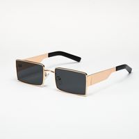 Elegant Glam Hip-hop Women's Sunglasses main image 1