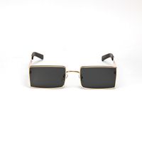 Elegant Glam Hip-hop Women's Sunglasses main image 6