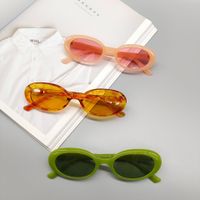 Fashion New Oval Small Frame Leopard Pattern Sunglasses Wholesale main image 4