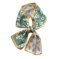 New Long Silk Scarf Women's Spring Autumn Printing Decorative Small Scarf main image 6