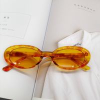 Fashion New Oval Small Frame Leopard Pattern Sunglasses Wholesale sku image 8