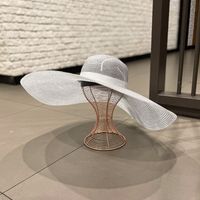 Sombrero Coreano De Seda Brillante Con Aleros Grandes Para Mujer, Sombrero De Playa Para Viajes De Verano sku image 2