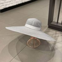 Sombrero Coreano De Seda Brillante Con Aleros Grandes Para Mujer, Sombrero De Playa Para Viajes De Verano main image 4