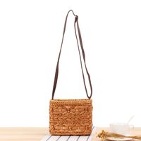 New Messenger Straw Hand-woven Holiday Beach Leisure Bag20*15*10cm main image 1