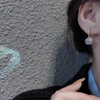 Einfache Opalohrringe Weibliche Kupfer Zirkon Ohrschnallen Großhandel main image 6