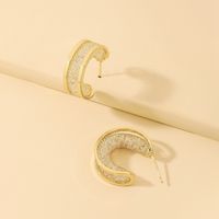 Simple Crystal Mesh Circle Geometric Alloy Stud Earrings Wholesale sku image 1