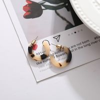 Fashion Letter C Earrings Simple Acrylic Leopard Hoop Earrings main image 1