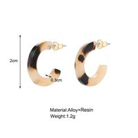 Fashion Letter C Earrings Simple Acrylic Leopard Hoop Earrings main image 5