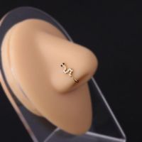 Nose Rings & Studs Fashion Geometric Copper Plating main image 2