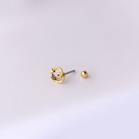 Ear Cartilage Rings & Studs Retro Flower 316 Stainless Steel  Copper Plating main image 5