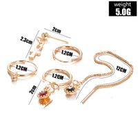New Set Autumn And Winter 5 Sets  Earrings Fashion Alloy Wholesale main image 5