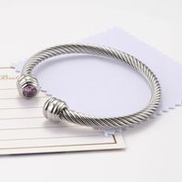 Titanium Steel Wire Rope Bracelet Twelve Birthstone Opening Adjustable Zircon Bangle sku image 10