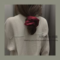 Solid Color Retro Satin Hair Ring Hair Ponytail main image 5