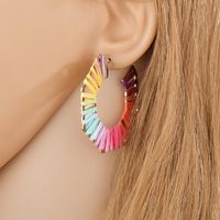 Nouvelles Boucles D'oreilles Colorées En Raphia En Alliage main image 4