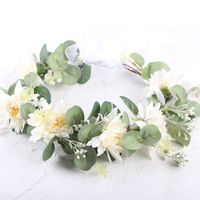 Fashion Wreath Headwear Photography Photo Green Plants Wedding Hair Accessories main image 5