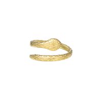 Ins Net Red Recommended Opening Adjustable Mesh Snake Ring Titanium Steel Gold-plated Zodiac Snake Index Finger Ring Live Ring main image 6