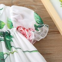 Summer Short-sleeved Girls Dress Sweet Printing Baby Clothing main image 5