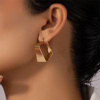 Fashion Geometric Iron No Inlaid Earrings main image 1