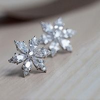 New Style Snowflake Flower Copper Zircon Earrings main image 4