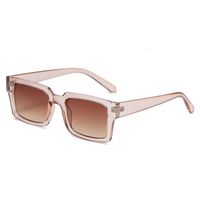 New Retro Square Frame Solid Color Leopard Sunglasses sku image 4