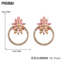 Vintage Style Flower Diamond Alloy Artificial Gemstones Earrings main image 5