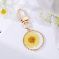 Colorful Oil Mushroom Feather Keychain Dried Flower Leaves Bag Pendant Accessories main image 4
