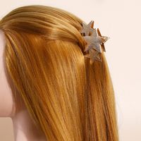 2022 New Frosted Gold Xingx Hair Claw 2 Piece Set Korean Retro Ponytail And Updo Hair Accessories Alloy Shark Clip main image 5