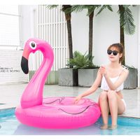 Ordinary Pvc  Swim Ring (120 Flamingo Swimming Pool 680 Grams)  Nhww0070 sku image 1