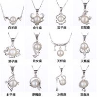 12 Constellation Usine En Gros Pendentif Femme S925 Argent Perle Collier Chaîne De La Clavicule Féminine Bijoux En Argent De Mode Ensemble Chaîne sku image 11