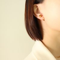 Mode Schraube Stud Ohrringe Nicht-kollision Ohrringe Titan Stahl 18k main image 4