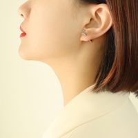 Mode Schraube Stud Ohrringe Nicht-kollision Ohrringe Titan Stahl 18k sku image 1