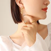 Simple Exaggerated Retro Metal Chain Earrings sku image 33