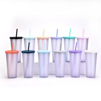 2022 New Double Plastic Straw Cup Outdoor Sports Cup main image 4