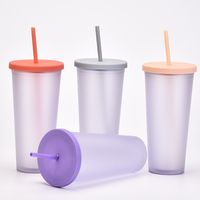 2022 New Double Plastic Straw Cup Outdoor Sports Cup main image 3