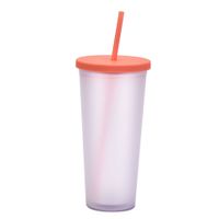 2022 New Double Plastic Straw Cup Outdoor Sports Cup sku image 6