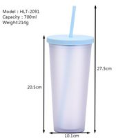 2022 New Double Plastic Straw Cup Outdoor Sports Cup main image 2