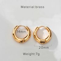 Nihaojewelry Großhandel Schmuck Einfache Kupfer Vergoldete Geometrische Ohrringe sku image 5
