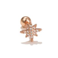 Mini Eight Awn Star Ear Bone Stud Stainless Steel Rod Twist Ball Piercing Earring Octagonal Star Ear Stud sku image 8