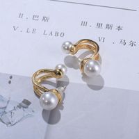 New Style Pearl Earrings French Minority Design Sense Sterling Silver Needle Elegant High-grade Earrings main image 3