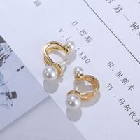 New Style Pearl Earrings French Minority Design Sense Sterling Silver Needle Elegant High-grade Earrings main image 5