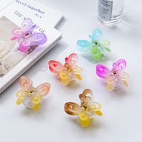 Double Layer Butterfly Grip Gradient Color Hair Clip main image 5